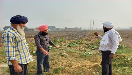 Individual Meeting with Farmer about Stubble Management.jpg