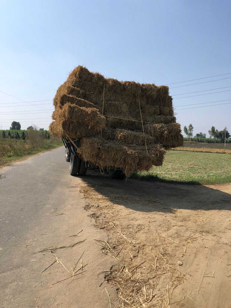 Transportation of stubble to Sugar Mills.jpg