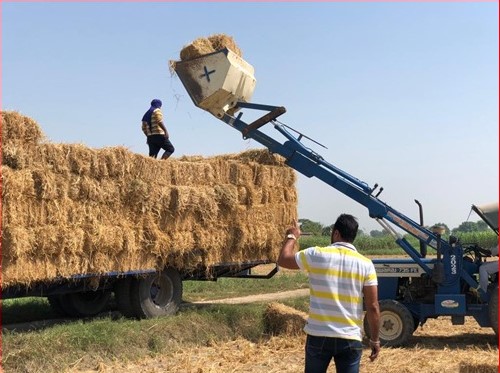 Stubble Bails Loading for Transportation.jpg